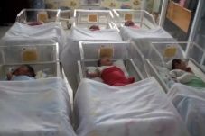 Cakep, 11 Bayi di Cirebon...