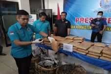 Ditutup Buah Asam Jawa,...