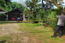 Pekerja Kebun Pasien...