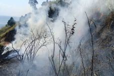 Kawasan Hutan dan Lahan...