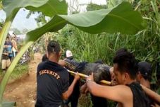 3 Penambang Emas di...