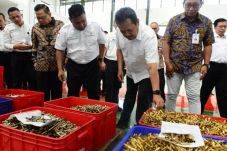 PT Pindad Akan Tambah...