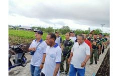 Asmat Gelar Jalan Santai...