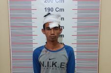 Padi Siap Panen Banyak...