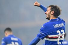 Gabbiani Temani Rugani,...