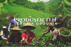 10 Negara Penghasil...