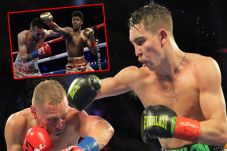 Perebutan Gelar WBO...
