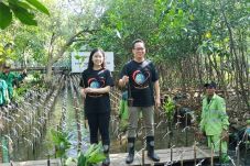 Lindungi Pesisir, MNC...