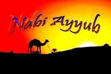 Kesabaran Nabi Ayyub...