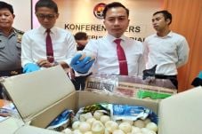 1007 Telur Penyu Diselamatkan...