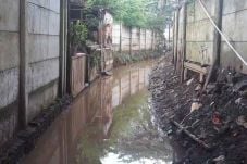 Terjangkit Kutu Air,...