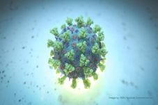 Riset AS: Virus Corona...