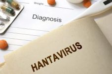Mengenal Virus Hanta...