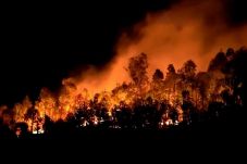Kebakaran Dahsyat Landa...