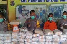 Polisi Amankan 240 Bal...
