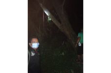 Menunggak Cicilan Mobil,...