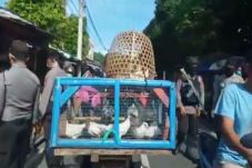 Pasar Burung di Mataram...