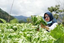Indah Pastikan Ketersediaan...