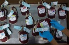 Stok Darah di PMI Makassar...