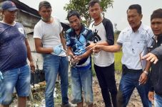 Sakit Hati Disebut Babi,...