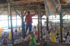 Dampak Covid-19, Harga...