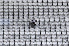 Pembangunan Stadion...