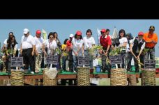 AGP Tanam Mangrove Dukung...
