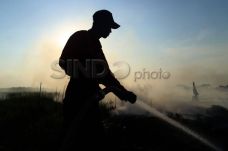 Kebakaran Lahan Gambut...