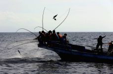 Berburu Tuna di Larantuka