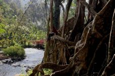 Berwisata di Akar Seribu,...