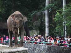 Libur Panjang, Ancol...
