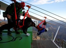 Flying Fox Terpanjang...