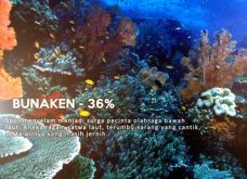 10 Lokasi Menyelam Favorit...