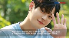 Selain Cha In-ha, Ini...