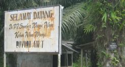 Tarik pasukan Brimob dari perkebunan sawit!