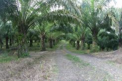 5 poin selesaikan masalah agraria