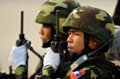 Pemerintah Myanmar hentikan serangan militer