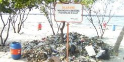 Buang lumpur di Ancol harus perhitungkan AMDAL