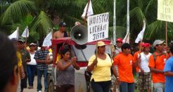 Tiga penambang emas tewas dalam protes di Peru