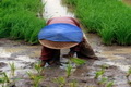Petani sambut positif...