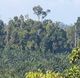 4 petani tewas diserang kelompok bersenjata di Honduras