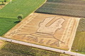 Crop circle Balotelli bentuk dukungan seniman Italia