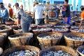 Kembangkan potensi laut, Bulukumba bangun PPI