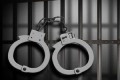 Pelaku pembantai sekeluarga dibekuk polisi