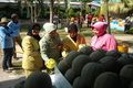 Baru dibuka, Agrifood Expo langsung diserbu