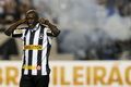 Seedorf bertekad bawa Botafogo juara