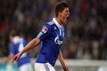 Huntelaar siap perpanjang kontak dengan Schalke