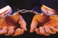 Polisi tangkap penjual binatang langka