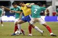 Damiao not for sale