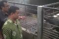 Over kapasitas, KBS tunggu Tim Independen